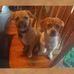 Beverly Hart - Facebook