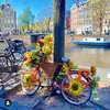 Beverly_Harvey01 - @beverly_harvey01 - TikTok