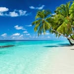 Beverly Harvey - @hudsonstravel_ - Instagram