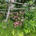 Beverly Harvey - Facebook