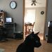 Beverly Hay - Facebook