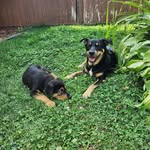Beverly Hay - @beverly_thrills_ - Instagram