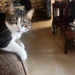 Beverly Heimbecker - @beverlyheimbecker - Instagram