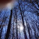 Beverly Ann Helmick - @beverly.hall.359 - Instagram
