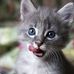 Beverly Hendrickson - Facebook