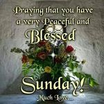 Beverly Hendrickson - @beverly.hendrickson.37017 - Instagram