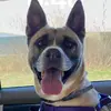 Bevee - @beverly.heinrichs - TikTok
