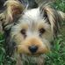 Beverly Henrichon - Facebook