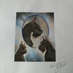 Beverly Hirsch Murray - @beverlymurray374 - Instagram
