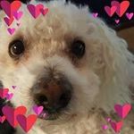 Beverly Holbrook - @bennys1990 - Instagram