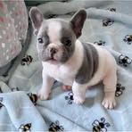 Beverly Holt - Facebook