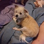 Beverly Holton - Facebook