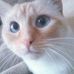 Beverly Horowitz Hollowell - Facebook