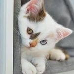 Beverly Hunt - @beverly.hunt1030 - Instagram
