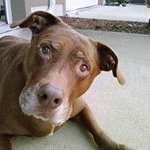 Beverly Hunt - @huntb46 - Instagram