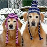 Beverly Ouderkirk Hurley - @beverlyhurley19 - Instagram