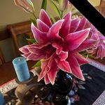 Beverly Jensen - @beverlyjensen671 - Instagram