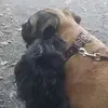 Beverly Jensen - @beverly.jensen2 - TikTok