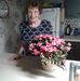 Beverly Johnston - Facebook