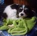 Beverly Kain - Facebook