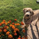 Beverly Kaiser - @beverly.kaiser78 - Instagram