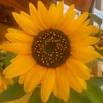 Beverly Kaiser - @beverlykaiser39 - Instagram