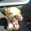Beverly Kaiser - @beverly.kaiser6 - TikTok