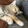@Zayleigh Smith - @beverly.karr - TikTok