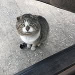 Beverly Kellum - @kellum7625 - Instagram