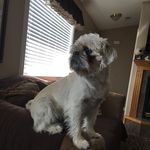 Beverly Kelly - @beverly1568 - Instagram