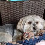 Beverly Kemp - Facebook