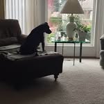 Beverly Kemp - @b66everly - Instagram