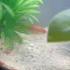 Beverly - @beverly.kendrick - TikTok