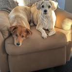Beverly Kennedy Francis Skinner - Facebook