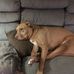 Bev Kern - Facebook