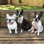 Beverly Kern Collins - @beverlykcollins - Instagram