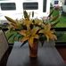 Beverly Kessinger - Facebook