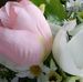 Beverly Keyes - Facebook