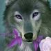 Beverly Kiesel - Facebook