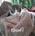 Beverly James Killian - Facebook