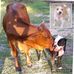 Beverley Kim - Facebook