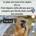 Beverly Kim - @beverlykim392 - Instagram