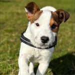 Beverley Kinder - @beverleykinder - Instagram