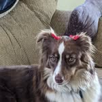 Donna Kizer Beverly - @djbev3ly - Instagram