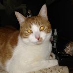 Beverly Kirsch - Facebook