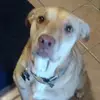 Beverley Knott - @beverley.knott2 - TikTok