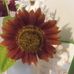 Beverly Knotts - Facebook