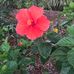 Beverly Knotts - Facebook
