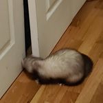 Beverly Knotts - @randomthings15432 - Instagram