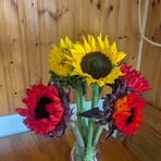 Beverly Koenig  - Facebook
